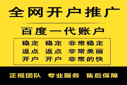 某某sem推广公司在某行业的应用与效果分析